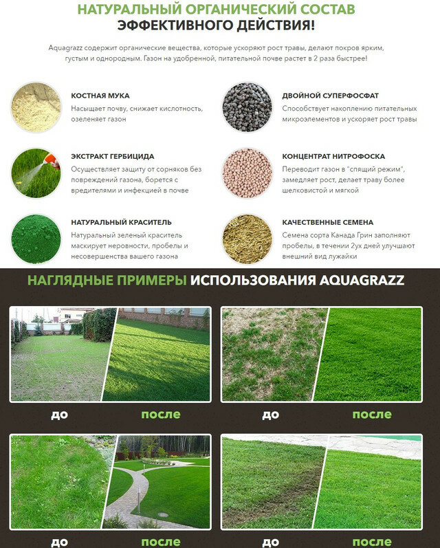 Описание газонной травы Лилипут: какие травы в составе, характеристики, посадка