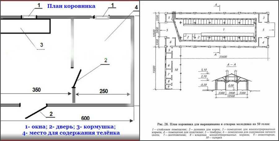 Овсинх для коров схема