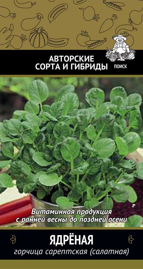 Улучшение почвы с помощью горчицы: когда и как сеять?