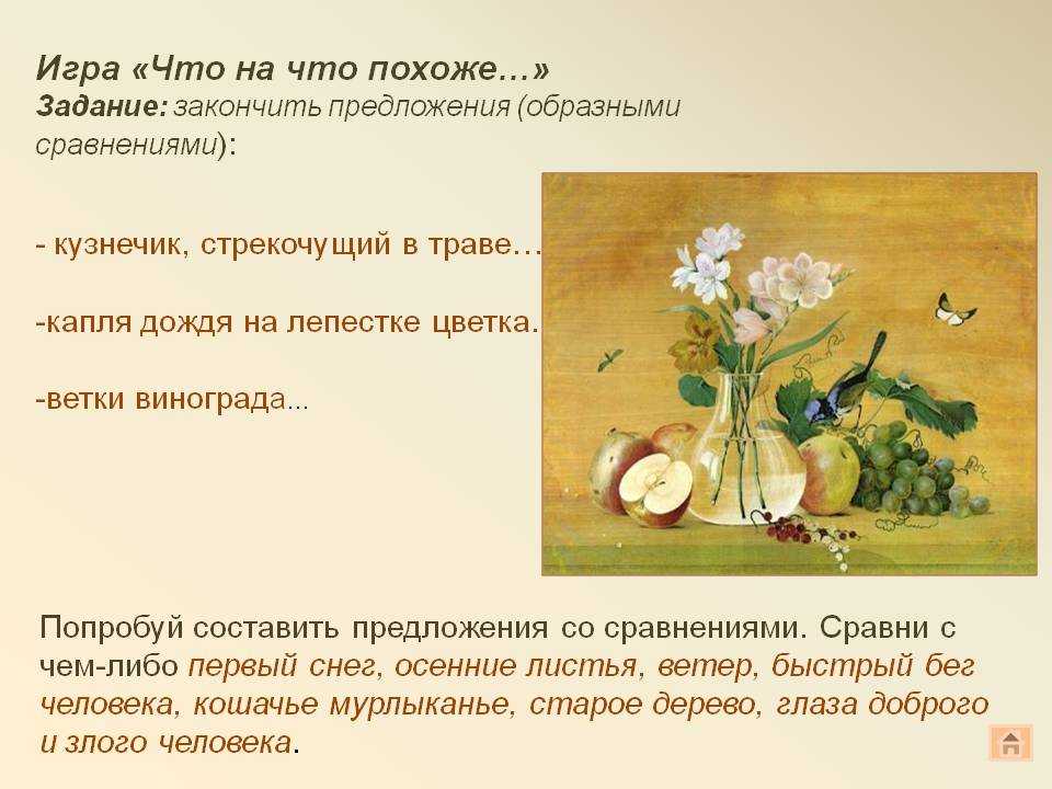 Цветок ромашка садовая - выращивание в домашних условиях. луговая и полевая ромашка - описание с фото.