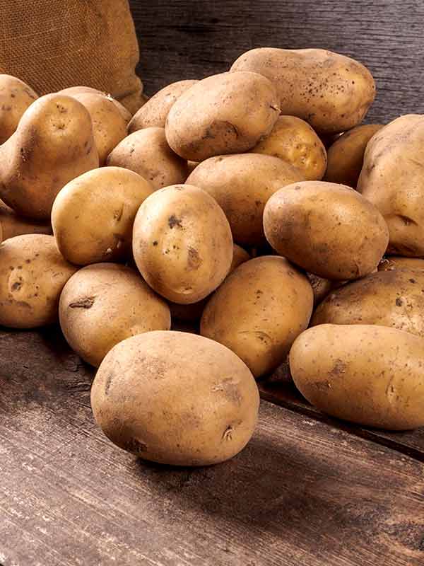 Картофель пикассо описание сорта фото отзывы. Картофель. Семенной картофель. Семена картошки. Старая картошка.