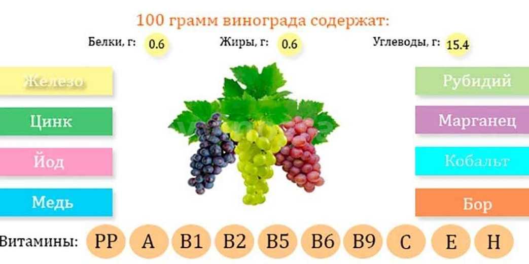 Какого витамина больше всего в винограде. Виноград состав витаминов и микроэлементов. Какие витамины есть в винограде. Витаминный состав винограда. Какого витамина больше в винограде.