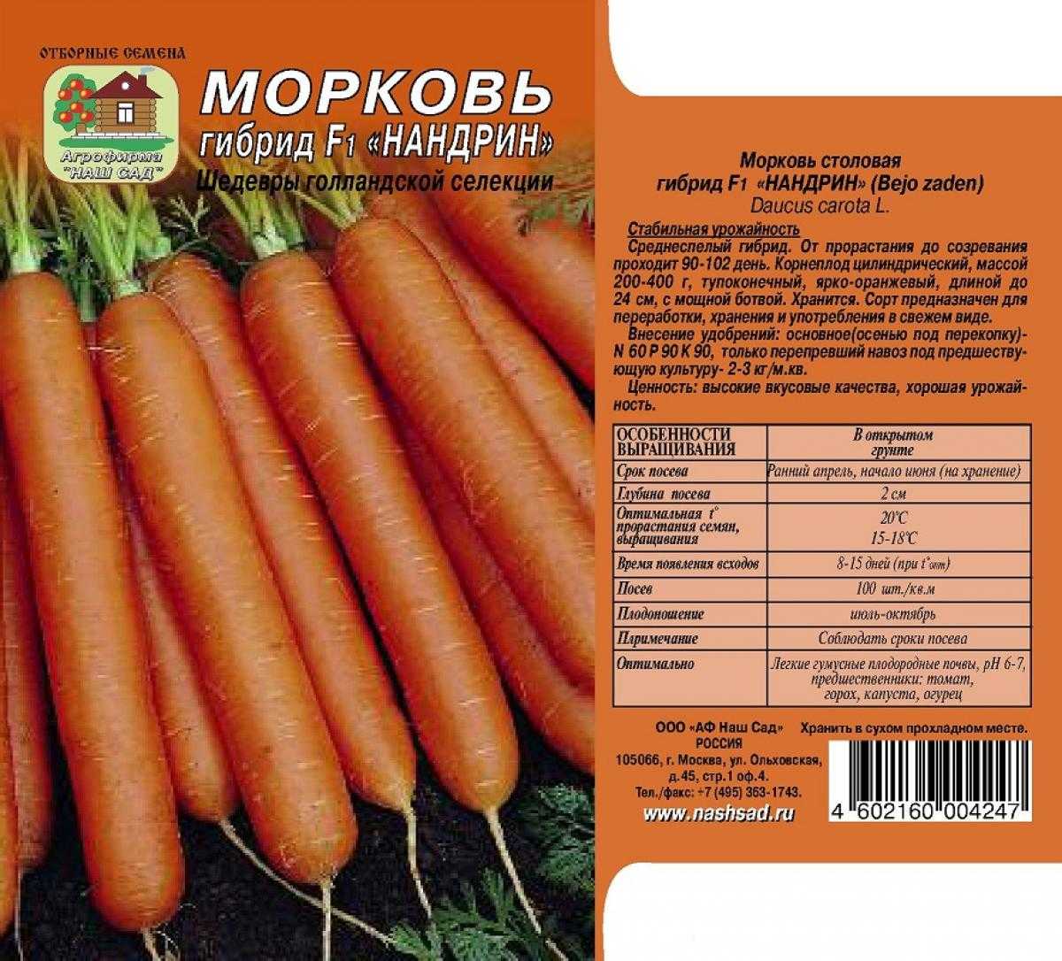 Морковь семена лучшие сорта для открытого. Морковь Нандрин f1. Морковь Нандрин f1 семена. Морковь сорт Нандрин. Морковь Нантская поздняя f1.