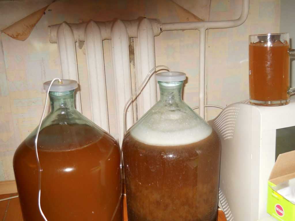 Как сделать медовуху из старого меда: рецепт приготовления в домашних условиях