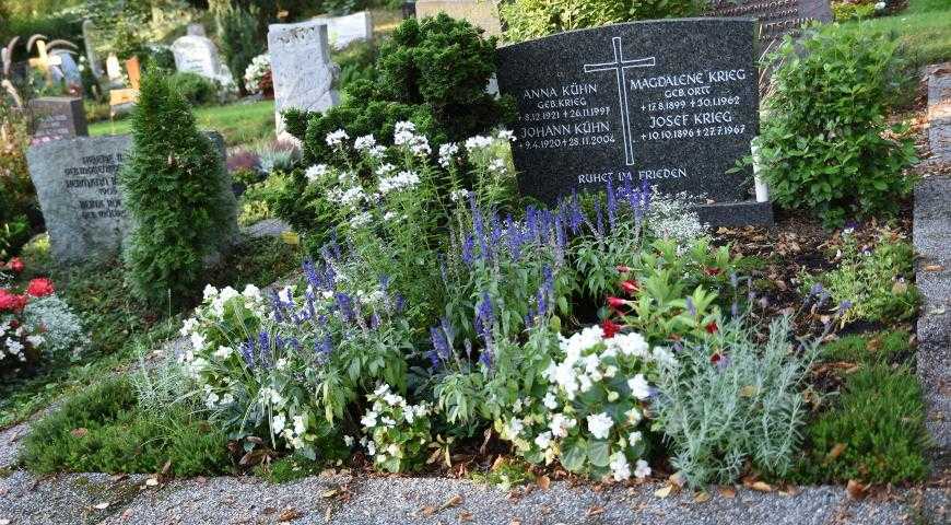 Какие цветы посадить на кладбище, чтобы они цвели все лето