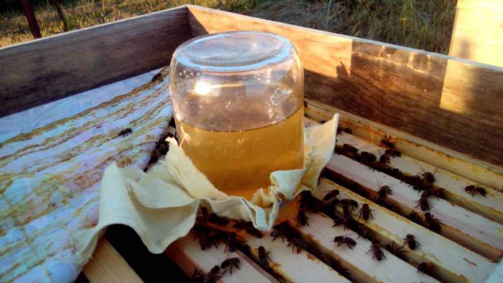 О сиропе для пчел: как правильно приготовить сахарный сироп для подкормки осенью