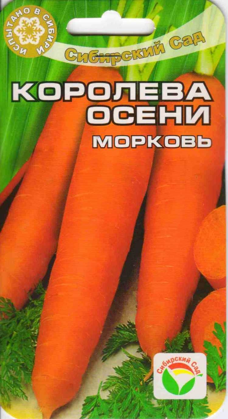 Морковь чемпион: описание и характеристика сорта, основные особенности, преимущества, недостатки, правила выращивания, урожайность, похожие виды