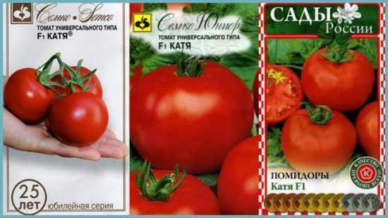Белла Росса: описание сорта томата, характеристики помидоров, посев
