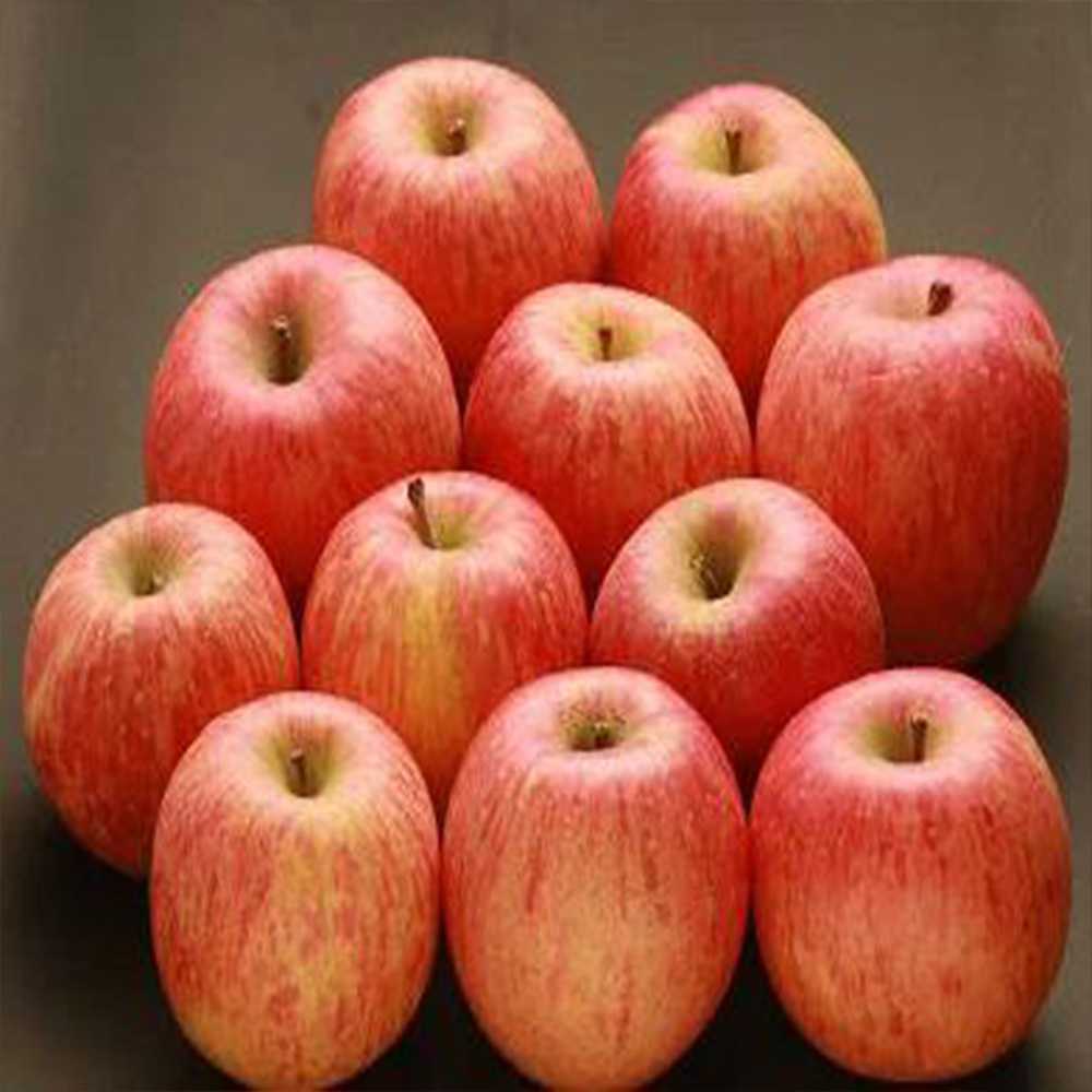 Яблоки фуджи - характеристика сорта с фото и отзывами
