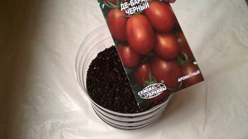 Томат "де барао золотой": описание сорта, рекомендации по выращиванию желтых помидорок