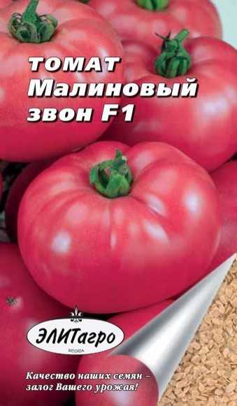 Томат «титан»: описание сорта, фото, рекомендации по выращиванию и основные характеристики помидоры