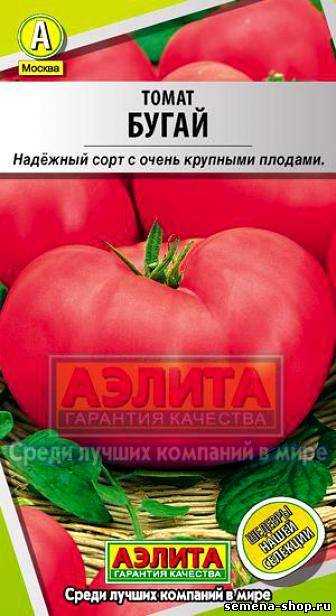 Как вырастить томат «бугай розовый»