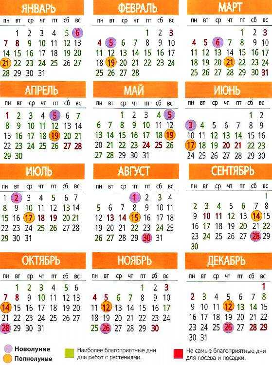 Посадочные дни в мае 2020 года для картофеля по лунному календарю и по регионам: таблица