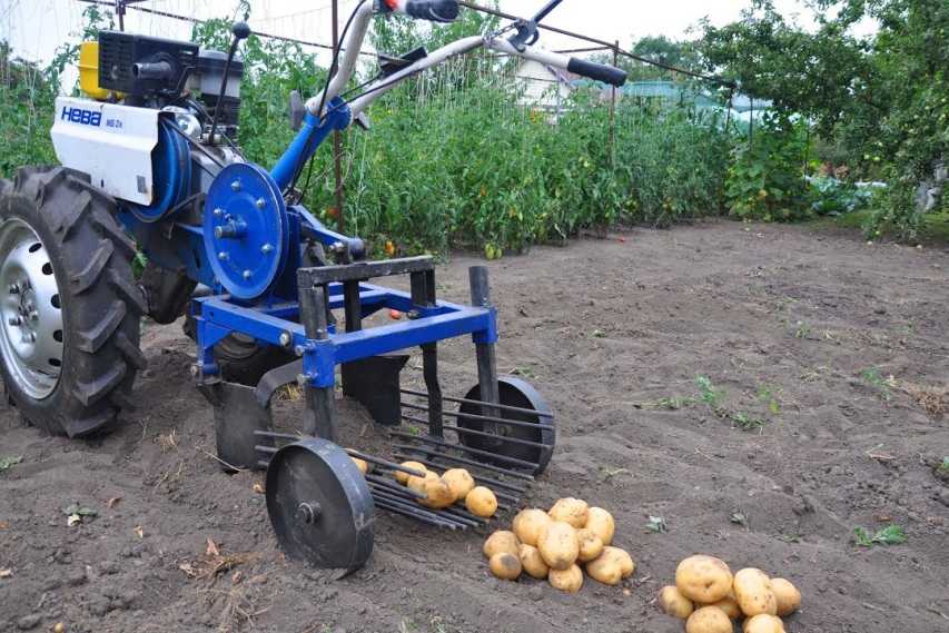 Выращивание картофеля мотоблоком нева. обзор навесного оборудования для посадки и уборки картофеля