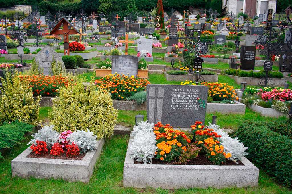 Многолетние цветы на могилу