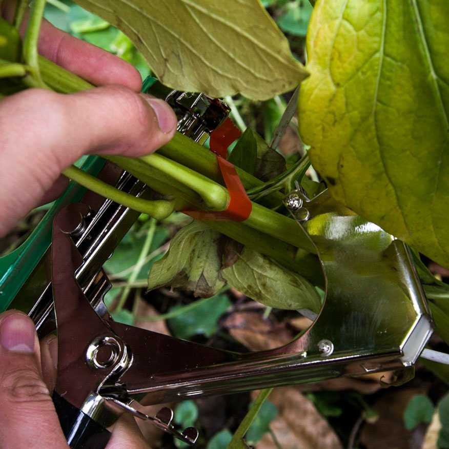 О тапенерах для подвязки растений: степлер садовый, клипсы, тапетул, пистолет