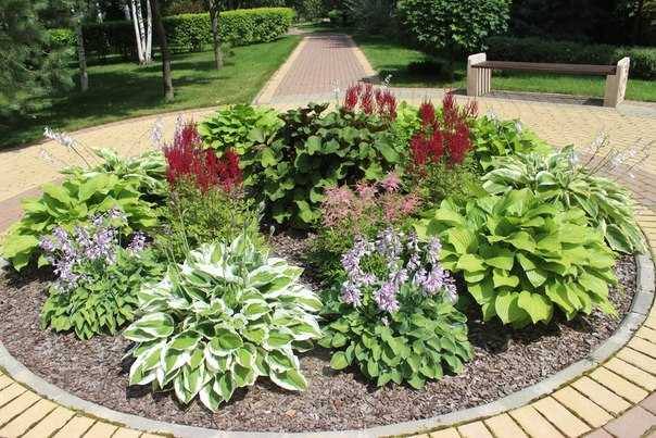Клумба непрерывного цветения: украшение сада на все сезоны. схемы клумб из однолетних и многолетних цветов (85+ фото & видео) +отзывы