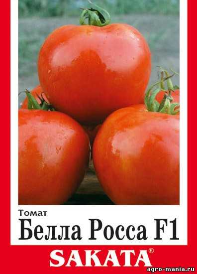 Томат "хлебосольный": описание и характеристики сорта, рекомендации по выращиванию и фото плодов-помидоров