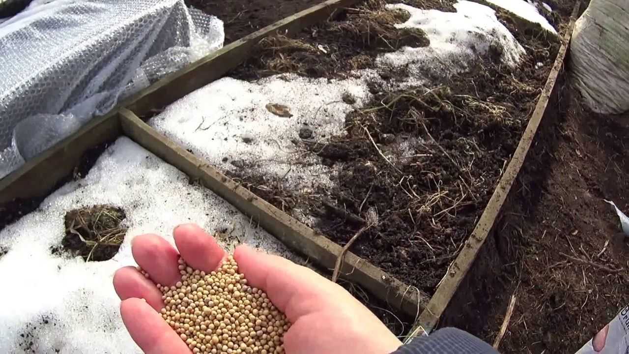 Как подготовить теплицу весной к посадке рассады