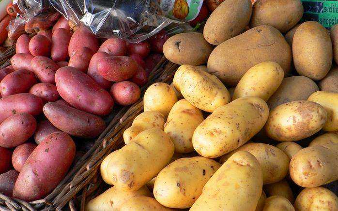 Картофельная страда: когда и как копать картофель