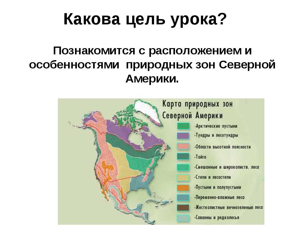 Перечислите природные зоны в пределах канады