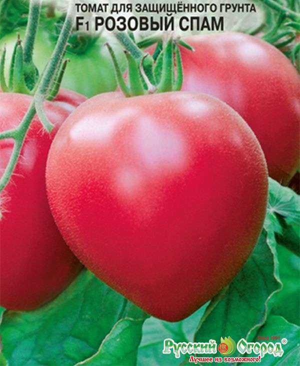 Томат "розовый мясистый": описание и характеристики сорта вкусных помидор