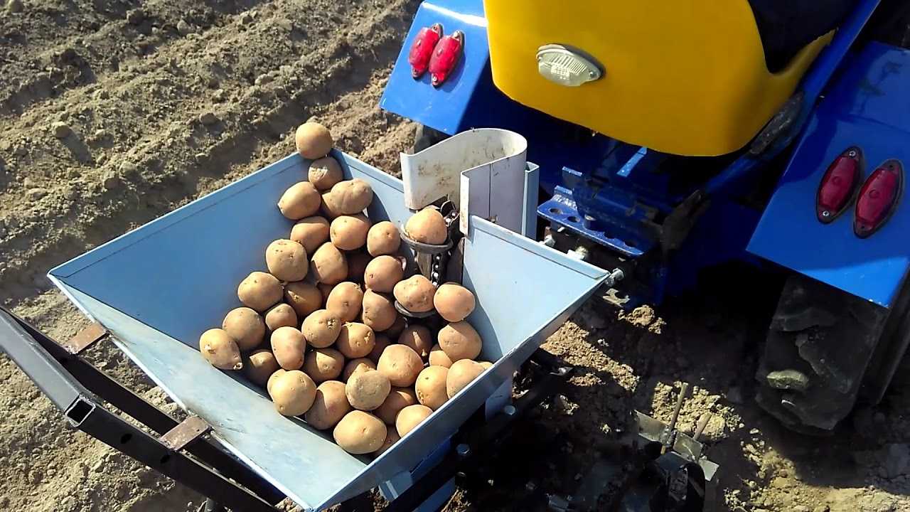 Хорошие дни для посадки картошки. Посадка картофеля картофелесажалкой. Посадка картофеля минитрактором картофелесажалкой. Автоматизированная посадка картофеля. Посадка картофеля мотоблоком с картофелесажалкой.