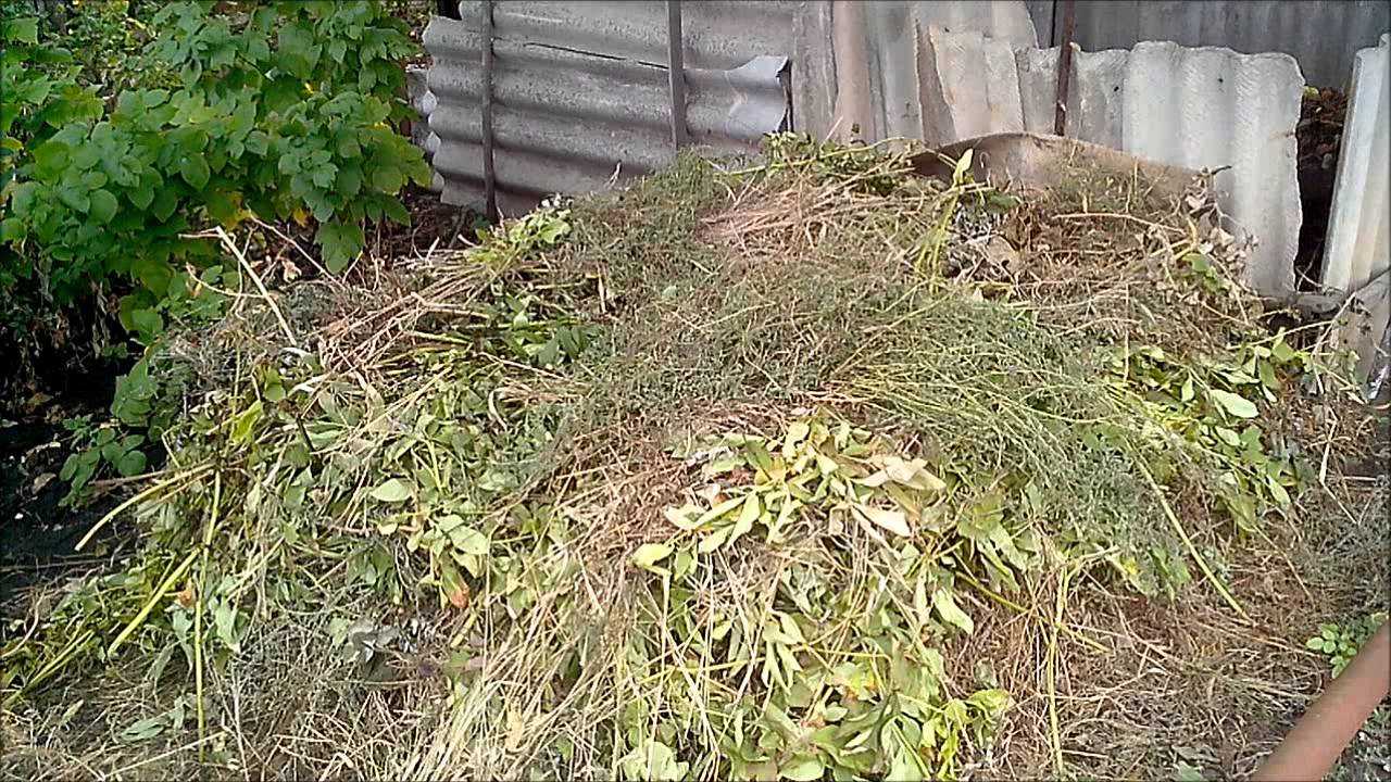 Компостная куча по правилам