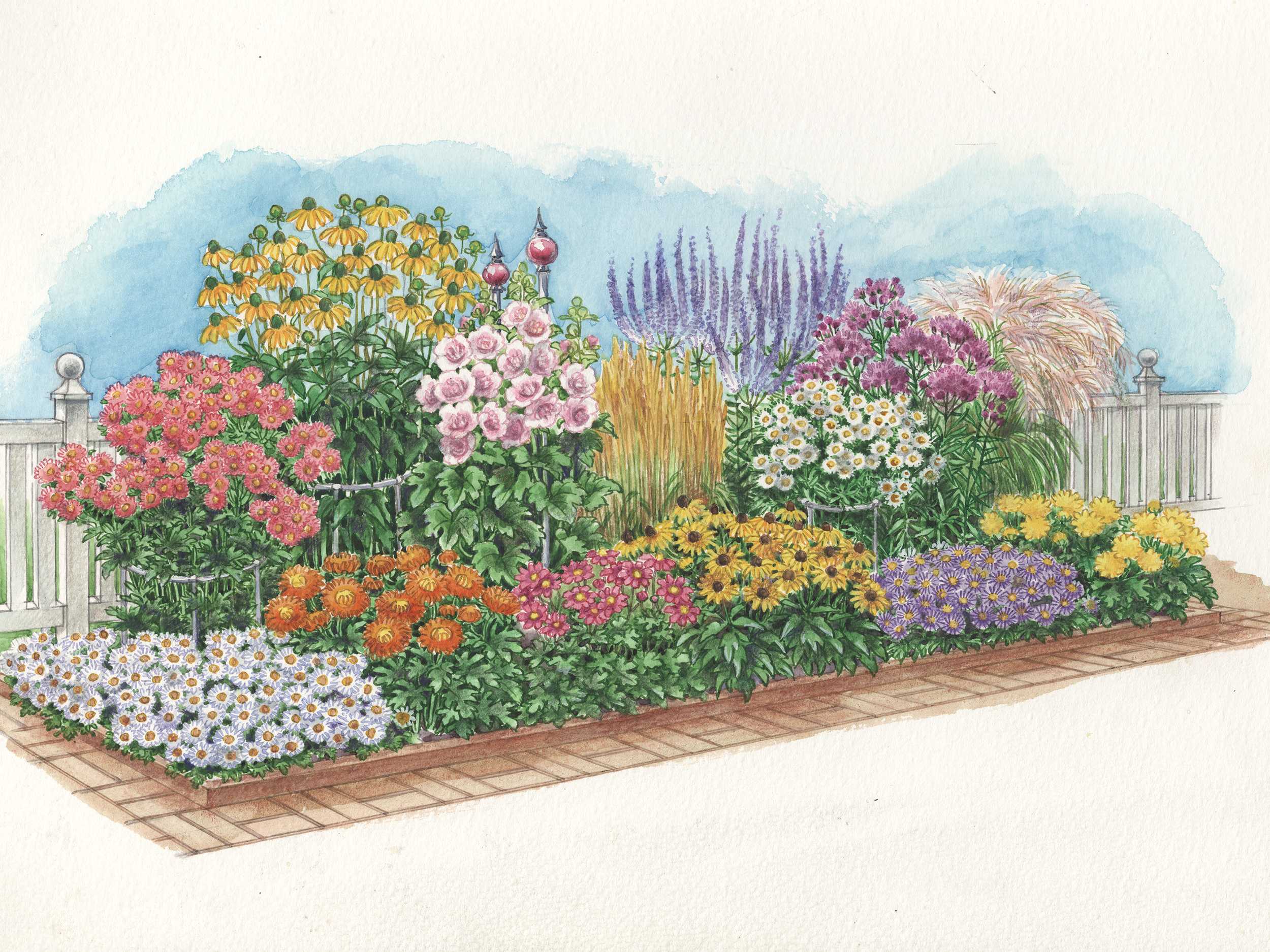 Схемы клумб непрерывного цветения из многолетников - варианты посадки цветов