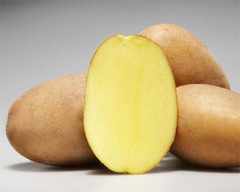 Бэби: описание семенного сорта картофеля, характеристики, агротехника