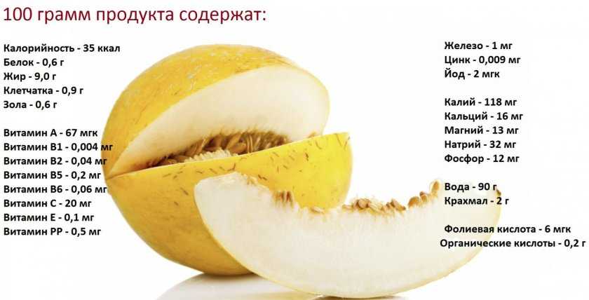Cantaloupe перевод