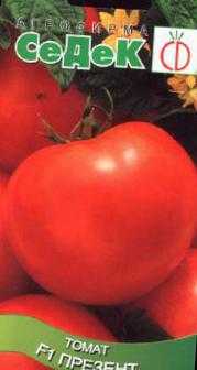 Описание сорта томата моя радость, особенности выращивания и ухода