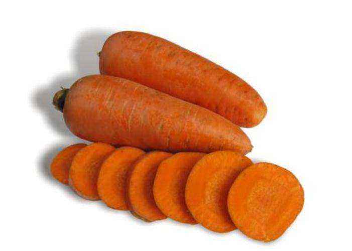 Описание и фото морковки шантане