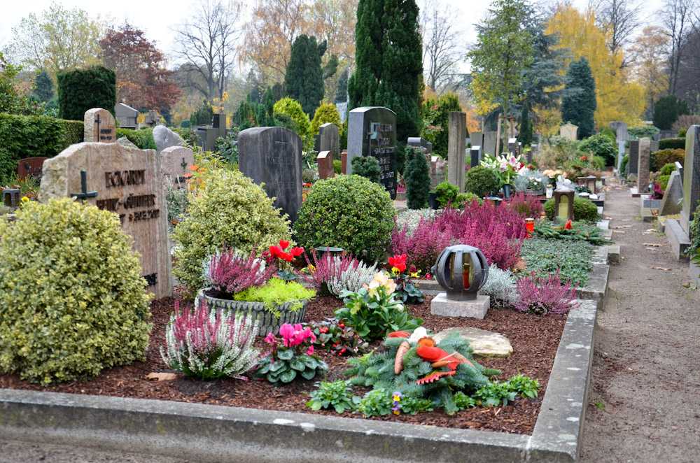 Подробное описание цветов, которые можно посадить на кладбище