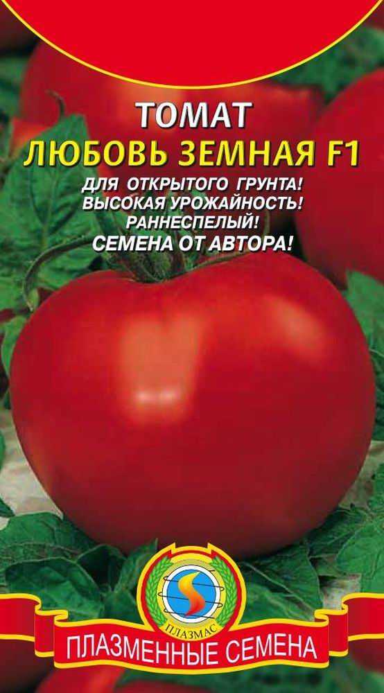 Сорт томата моя любовь (f1)