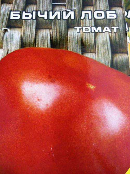 Сорт томата бычий лоб. Семена томат бычий лоб. Сорт помидор бычий глаз. Сорт томат бычий лоб. Томат бычий лоб 20шт (Сиб.сад.