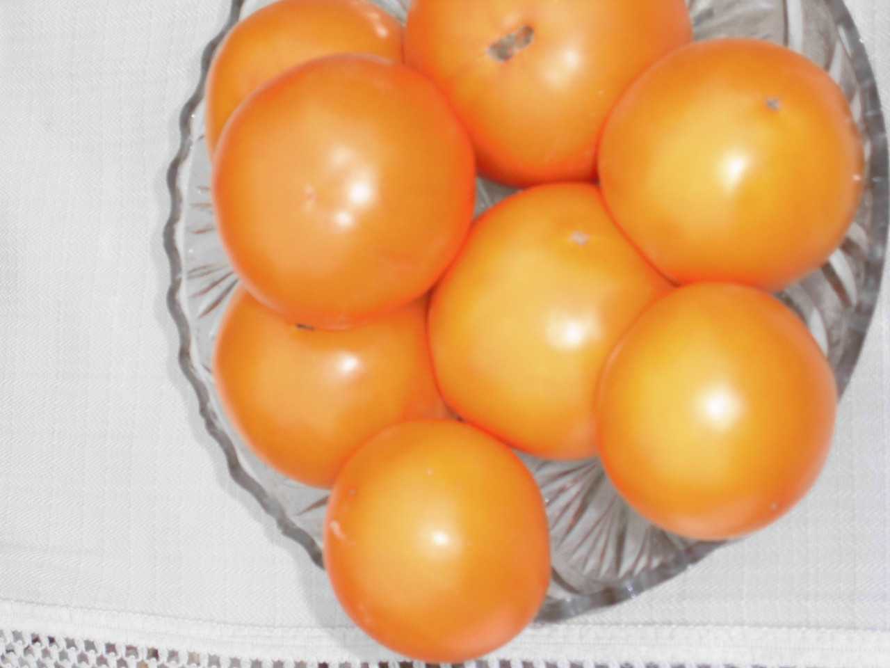 Помидоры сорта «апельсин» – урожайность, фото и отзывы