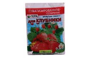 Можно ли удобрить клубнику калием. 85e3c005be8934b5d3e55935a92d48ad. Можно ли удобрить клубнику калием фото. Можно ли удобрить клубнику калием-85e3c005be8934b5d3e55935a92d48ad. картинка Можно ли удобрить клубнику калием. картинка 85e3c005be8934b5d3e55935a92d48ad. Кроме этих питательных составов, клубнику весной удобряют неспецифическими средствами, среди которых можно назвать йод и дрожжи.