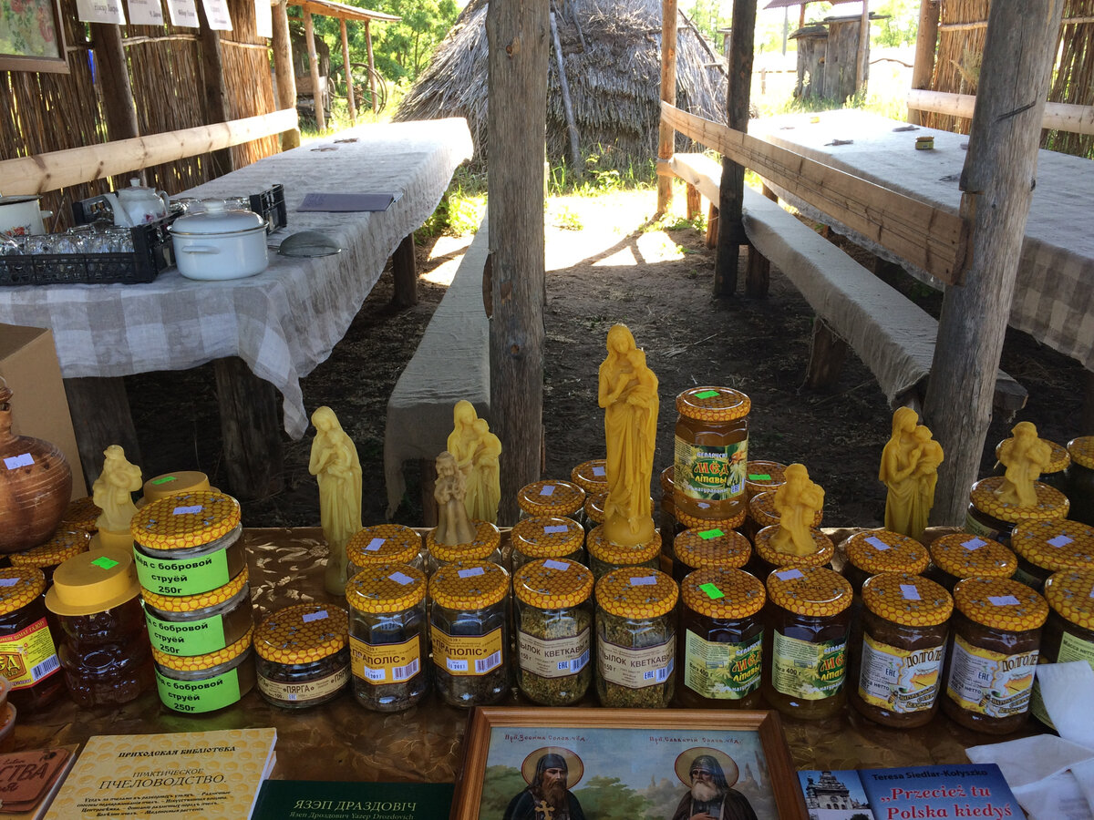 Король всех видов меда — лесной мед. полезные свойства и противопоказания использования лесного меда