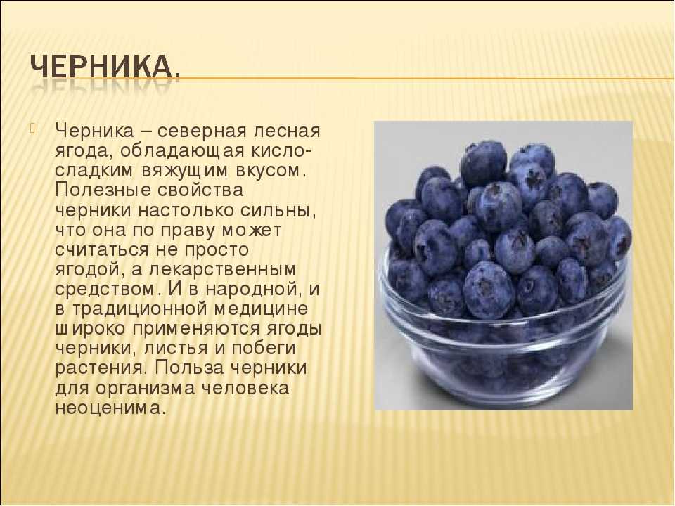 Голубика польза и вред для женщин. Чем полезна черника. Полезные ягоды. Интересные факты о ягодах. Черника полезные свойства.