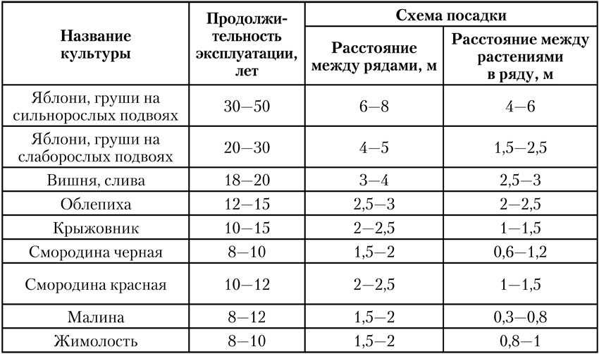 Схема посадки саженцев плодовых деревьев в саду