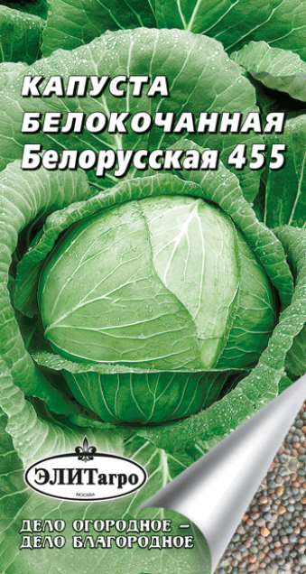 Капуста белорусская: описание сорта, фото, характеристика, отзывы, урожайность, достоинства и недостатки, особенности выращивания