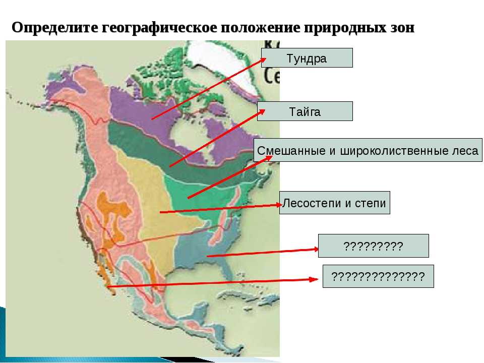 Природные зоны и население северной америки. Карта природных зон Северной Америки. Природный соны Северной Америки. Расположение природных зон Северной Америки. Карта природных зон США.