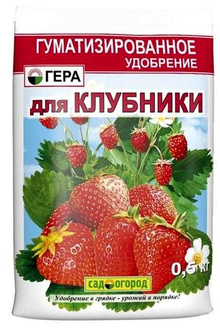 Можно ли удобрить клубнику калием. 925bb21967fa5591d8515513d99e6d3a. Можно ли удобрить клубнику калием фото. Можно ли удобрить клубнику калием-925bb21967fa5591d8515513d99e6d3a. картинка Можно ли удобрить клубнику калием. картинка 925bb21967fa5591d8515513d99e6d3a. Кроме этих питательных составов, клубнику весной удобряют неспецифическими средствами, среди которых можно назвать йод и дрожжи.