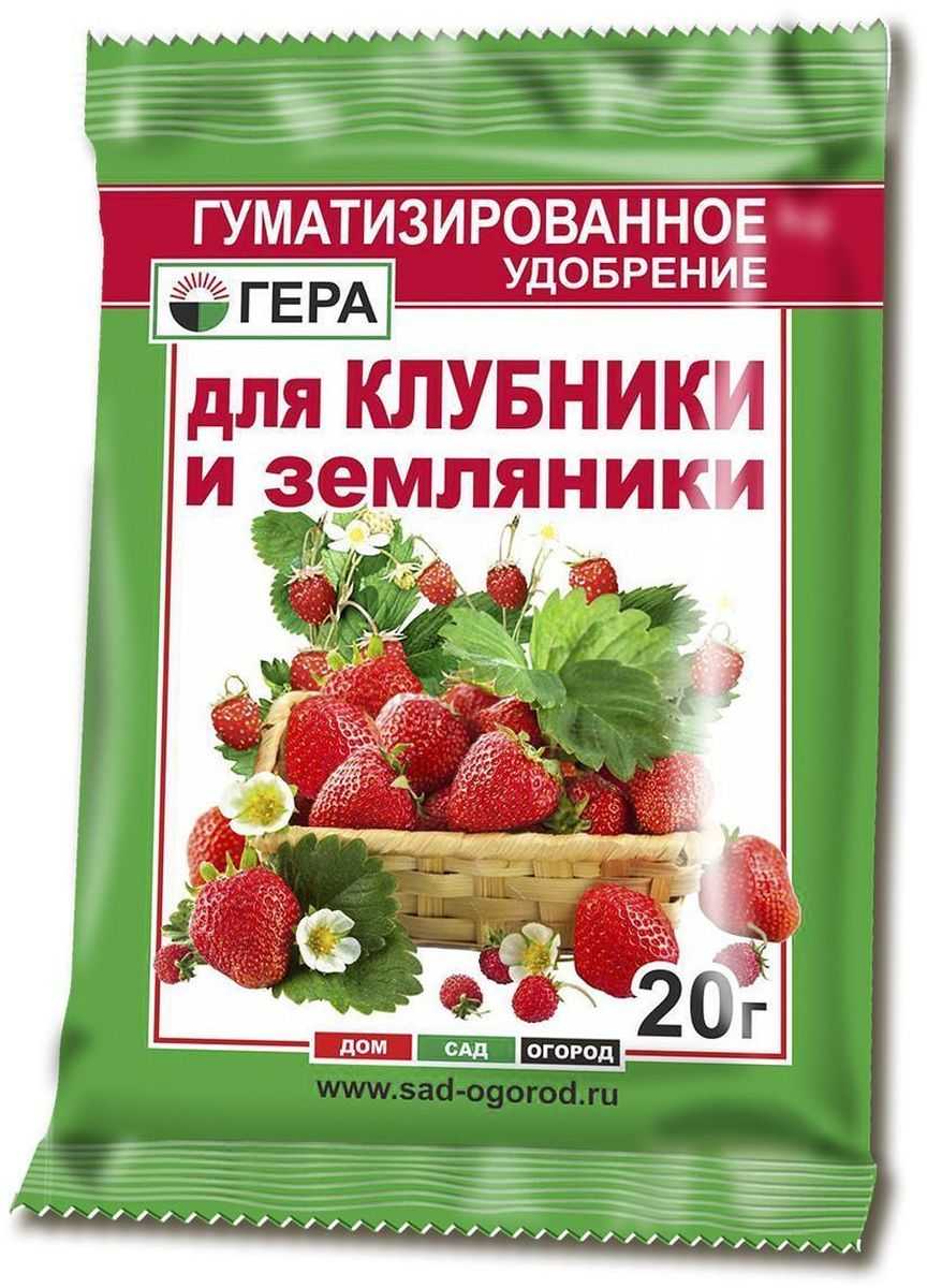 Можно ли удобрить клубнику калием. 92a27352e6c2b773becd31e5a5cddc4c. Можно ли удобрить клубнику калием фото. Можно ли удобрить клубнику калием-92a27352e6c2b773becd31e5a5cddc4c. картинка Можно ли удобрить клубнику калием. картинка 92a27352e6c2b773becd31e5a5cddc4c. Кроме этих питательных составов, клубнику весной удобряют неспецифическими средствами, среди которых можно назвать йод и дрожжи.
