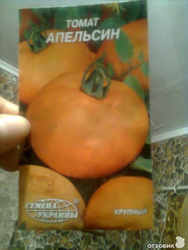 Сорт помидор «апельсин»