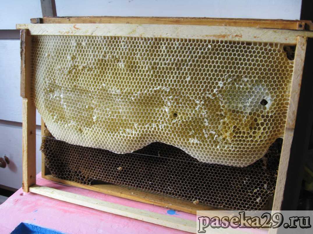 Вощина для пчел