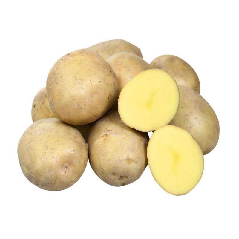 Картофель вега