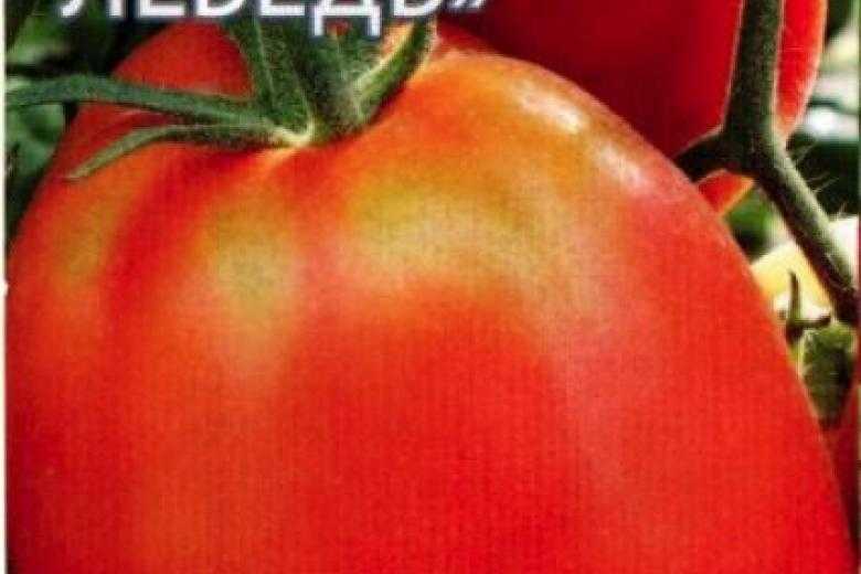 Высокий урожай томатов путем выращивания овоща на двух корнях