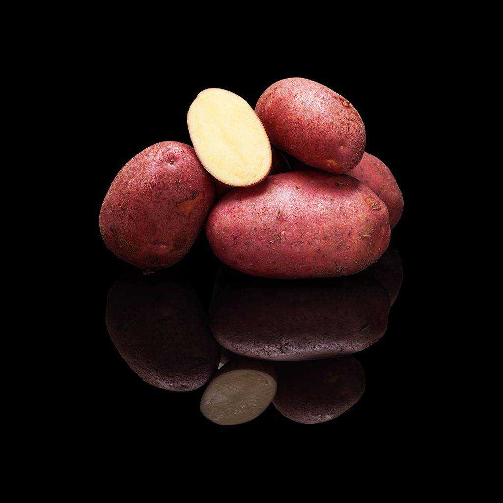 Крупноплодный картофель «родриго»: описание сорта, фото, характеристика